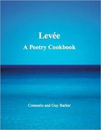 Levee