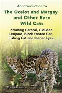An introduction to The Ocelot and Margay and Other Rare Wild Cats Including Caracal, Clouded Leopard, Black Footed Cat, Fishing Cat and Iberian Lynx