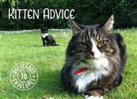 Kitten Advice Notecards