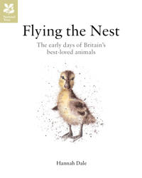 Flying the Nest