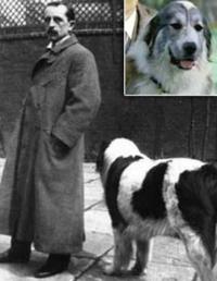 Admirable Crichton