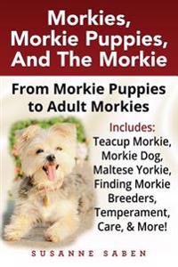 Morkies, Morkie Puppies, And the Morkie