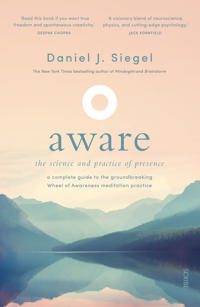 Aware - the science and practice of presence - a complete guide to the grou
