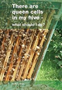 There are Queen Cells in My Hive