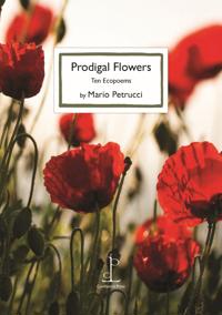Prodigal Flowers