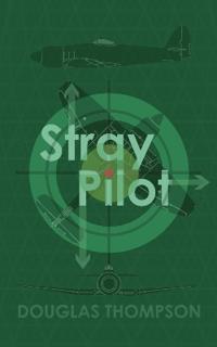 Stray Pilot