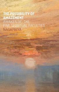 The Possibility of Amazement