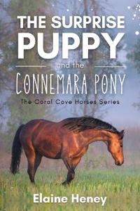 The Surprise Puppy and the Connemara Pony