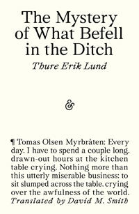 The Mystery of What Befell in the Ditch