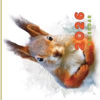 Calendar 2026