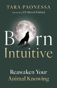 Born Intuitive