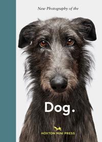 New Photography of the Dog