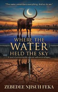 Where The Water Held The Sky
