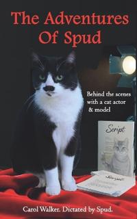 The Adventures of Spud