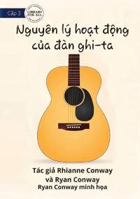 How A Guitar Works - Nguyên lý ho?t d?ng c?a dàn ghi-ta