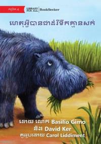 Why Hippos Have No Hair - ????????????????????????????