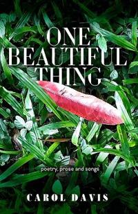 One Beautiful Thing