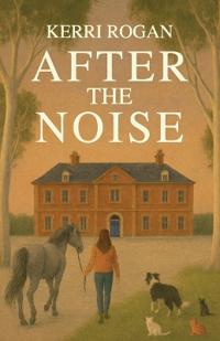 After the Noise