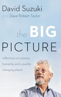 Big Picture