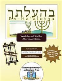 Bar/Bat Mitzvah Survival Guides: Be-Ha'alotha (Weekdays and Shabbat Afternoon)