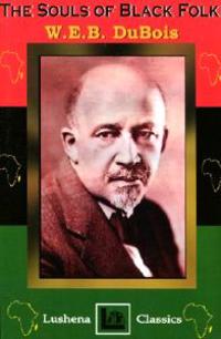 Kirjan kansi "The Souls of Black Folk"