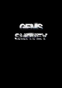 Andro Wekua: Gems Survey