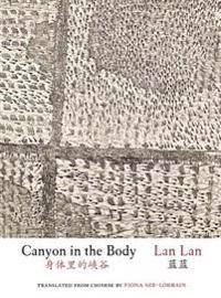 Kirjan kansi "Canyon in the Body"