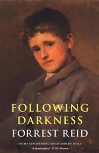Bokomslag för "Following darkness"