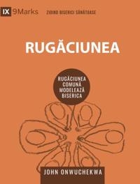 Building Healthy Churches (Romanian)
