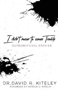 I Didn't Mean To Cause Trouble