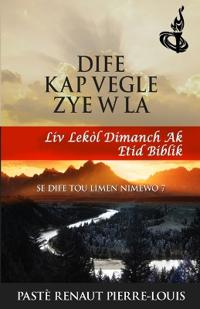 DIFE K AP VEGLE ZYE W LA