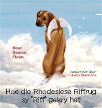 Hoe die Rhodesiese Riffrug sy "Riff" gekry het