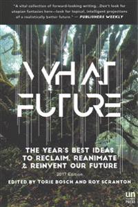 What Future: The Year's Best Ideas to Reclaim, Reanimate & Reinvent Our Future