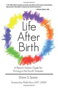 Life After Birth: A Parents Holistic Guide for Thriving in the Fourth Trimester