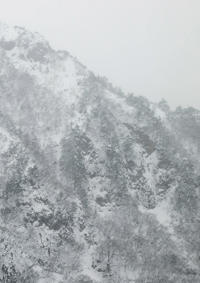 Keiko Sasaoka: Presence