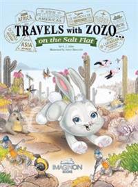 Travels with Zozo...on the Salt Flat