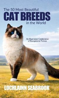 The 50 Most Beautiful Cat Breeds in the World