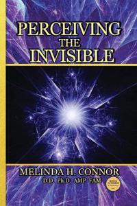 Perceiving the Invisible