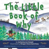 The Little Book of Why