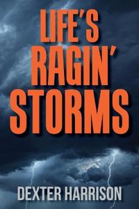 Life's Ragin' Storms