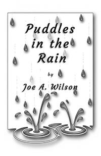 Puddles in the Rain