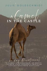 A Camel in the Castle
