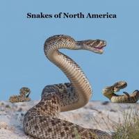 Snakes of North America Kids Book