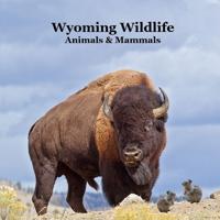 Wyoming Animals and Mammals Wildlife Book