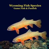 Wyoming Game Fish and Panfish Species Kids Book