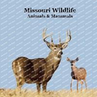 Missouri Animals and Mammals Kids Wildlife Book
