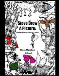 Steve Drew a Picture