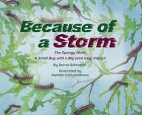 Because of a Storm