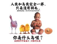 Bokomslag för "人类和鸟类完全一样，只是没有羽毛。"