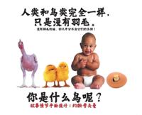 Bokomslag för "人类和鸟类完全一样，只是没有羽毛。"